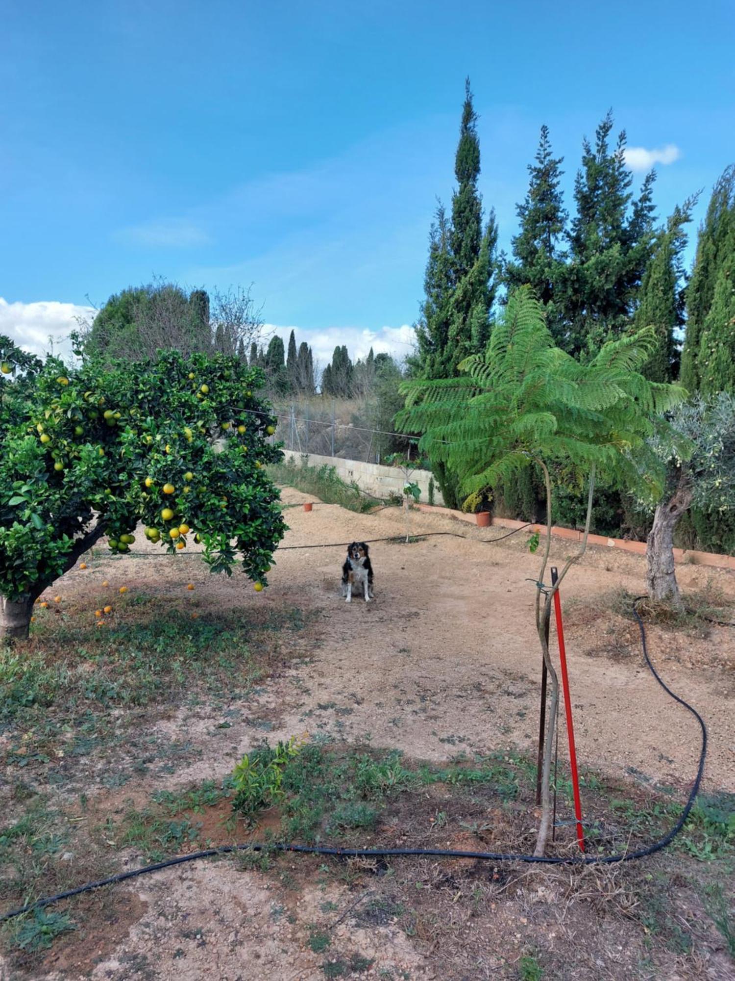 Les Berreries Villa Montroy Luaran gambar